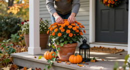 14 Best Halloween Outdoor Planter Decorations for Spooky Containers in 2027