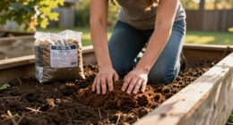 14 Best Peat Moss For Gardening In 2027