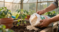 14 Best Vermiculite Products for Gardening in 2027