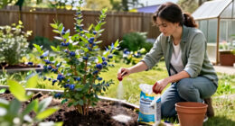 15 Best Blueberry Plant Fertilizers for Healthy, Productive Bushes in 2027