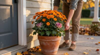 15 Best Fall Plants for Front Doors in 2027