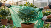 15 Best Frost Protection Covers for Container Plants in 2027
