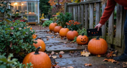 15 Best Halloween Outdoor Garden Signs for Festive Yard Displays in 2027