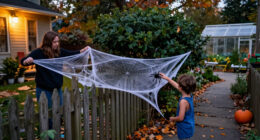 15 Best Halloween Outdoor Spider Web Decorations for 2027