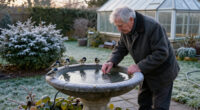 15 Best Heated Bird Baths for Winter Wildlife in 2027