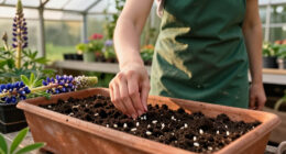 15 Best Lupine Seeds for Pollinator Gardens and Wildflower Meadows in 2027