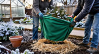 15 Best Perennial Winter Protection Products for 2027
