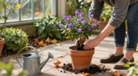 4 Autumn-flowering Shrubs To Plant In Pots Now For Abundant Blooms And Fragrance