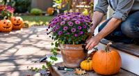 4 Best Halloween Garden Planters in 2027