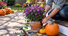 4 Best Halloween Garden Planters in 2027