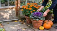 5 Best Halloween Garden Planters in 2027