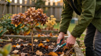5 Plants You Should Never Prune In October – Or You Risk Ruining A Gorgeous Winter Display & Next Year's Blooms