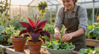 5 Reasons Amaranth Will Be Your New Favorite Plant To Grow & Eat