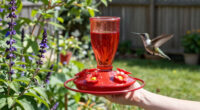 8 Best Bee-Proof Hummingbird Feeders for 2027