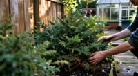 8 Best Privacy Shrubs in 2027