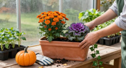 9 Best Halloween Garden Planters for Spooky Seasonal Displays in 2027