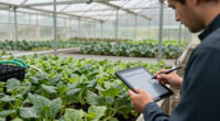 Business Continuity Planning For Greenhouse Leaders: 5 Questions To Ask