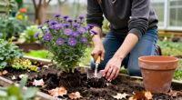 Divide These 8 Perennials In October – It's The Easiest Way To Make More Of Your Favorite Plants For Free