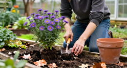 Divide These 8 Perennials In October – It's The Easiest Way To Make More Of Your Favorite Plants For Free