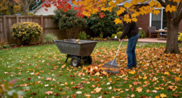 Fallen Leaves Taking Over Your Yard? This Clever Amazon Tool Makes Clean-up So Much Easier – And Saves Your Back
