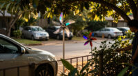 How To Stop Birds Pooping On Your Car – 5 Safe Ways To Keep Them Away From Your Driveway
