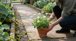 Monty Don's Simple Potted Plant Trick Makes Any Garden Path Feel Instantly More Magical
