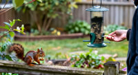 Squirrels Don’t Like These 3 Types Of Bird Seed – Fill Your Feeders And Watch Songbirds Flock In