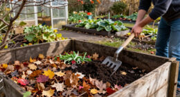 The Clever Secret To Speed Fall Leaves Into Free Compost By Spring