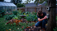 Wildlife Cameras Reveal The Backyard Visitors You Don't Even Know Are There – 16 Top Picks To Capture Charming Footage